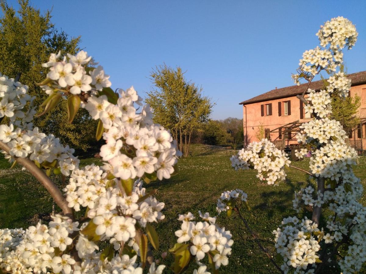 Agriturismo La Lenticchia Fratta Terme Exterior photo